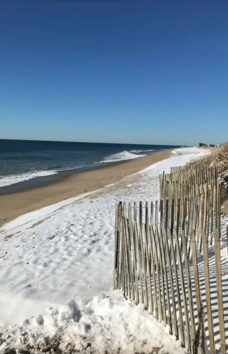 the beach in the winter